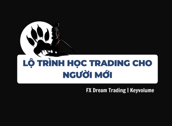 LỘ TRÌNH HỌC TRADING CHO NGƯỜI MỚI