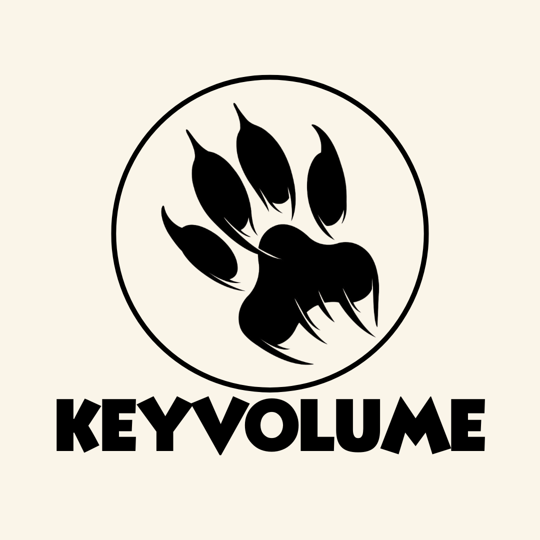 FX Dream Trading KeyVolume